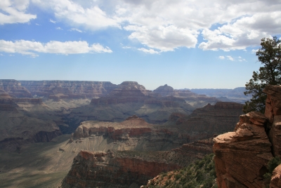 Grand Canyon 2008
